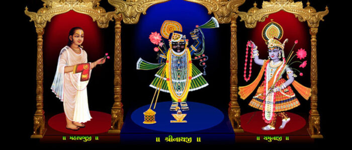 shreenathji-darshan-hotel-ashapura